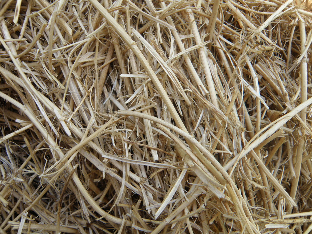 Lucerne Nutri Mulch image 1