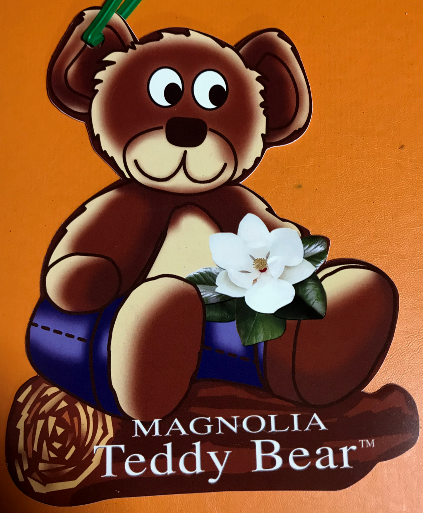Magnolia 'Teddy Bear' image 2