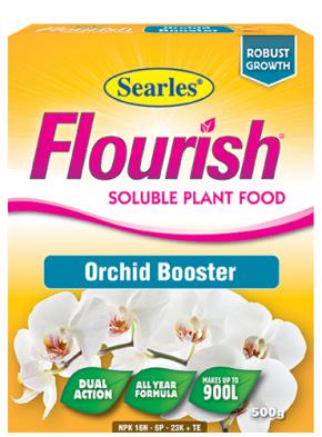 Flourish Orchid image 0