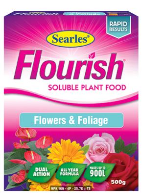 Flourish Flower & Foliage โ Gardenwize