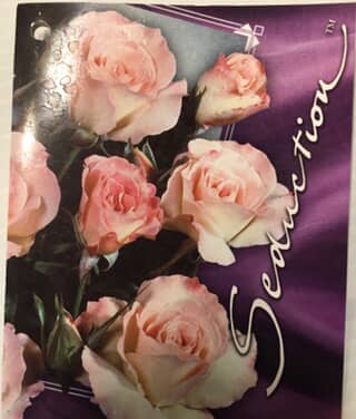 Rose Seduction image 0