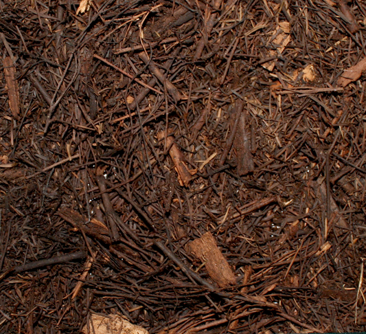 Tea Tree Mulch image 1