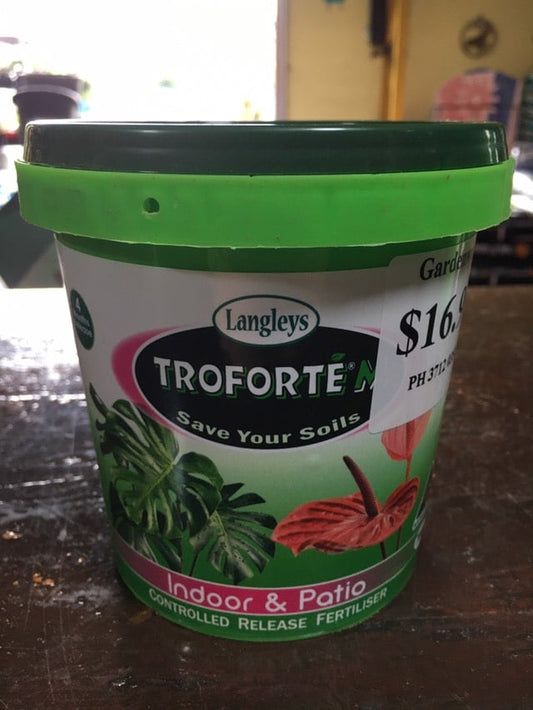 Troforte M 'Indoor & Patio' image 0