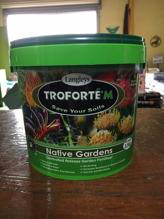 Troforte M 'Native' image 0