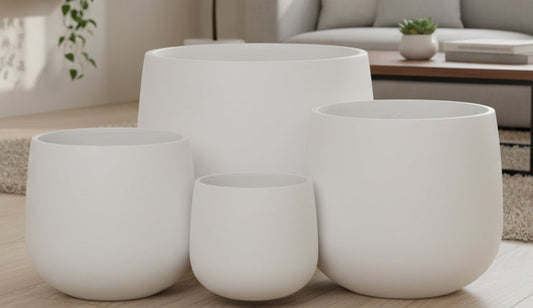 Modern Bunge Fibreglass Premium Pot