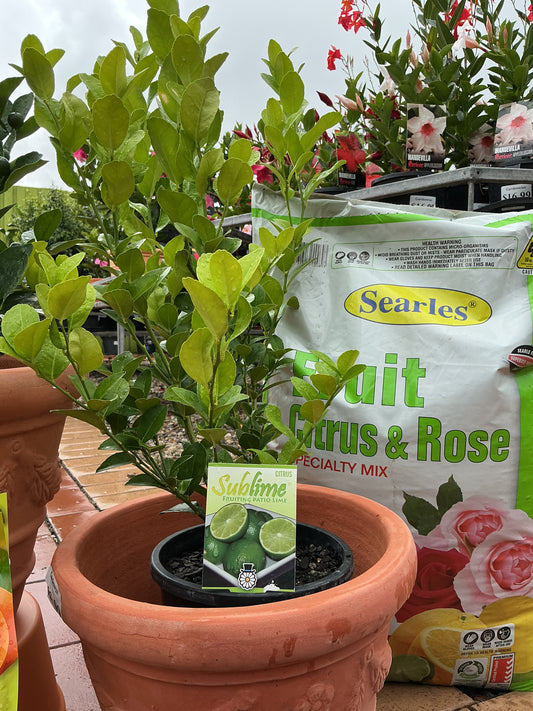 Fruit Trees