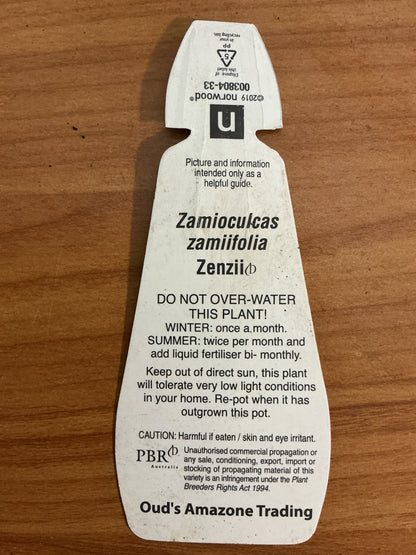Zanzibar Gem ‘Zenzii’