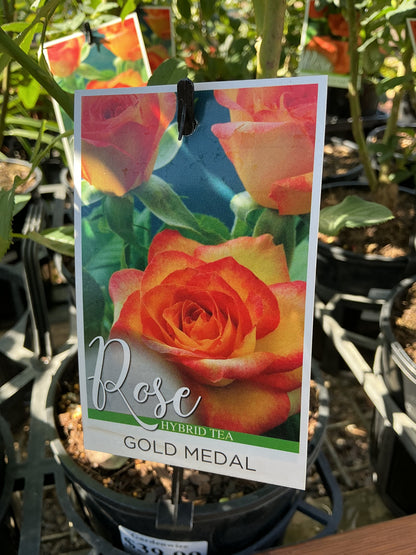 Roses
