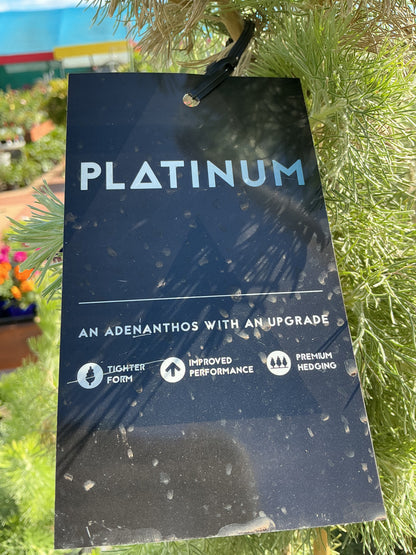 Australian Native Plants