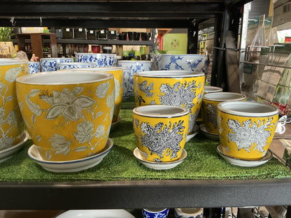 Indoor Ceramic Pots