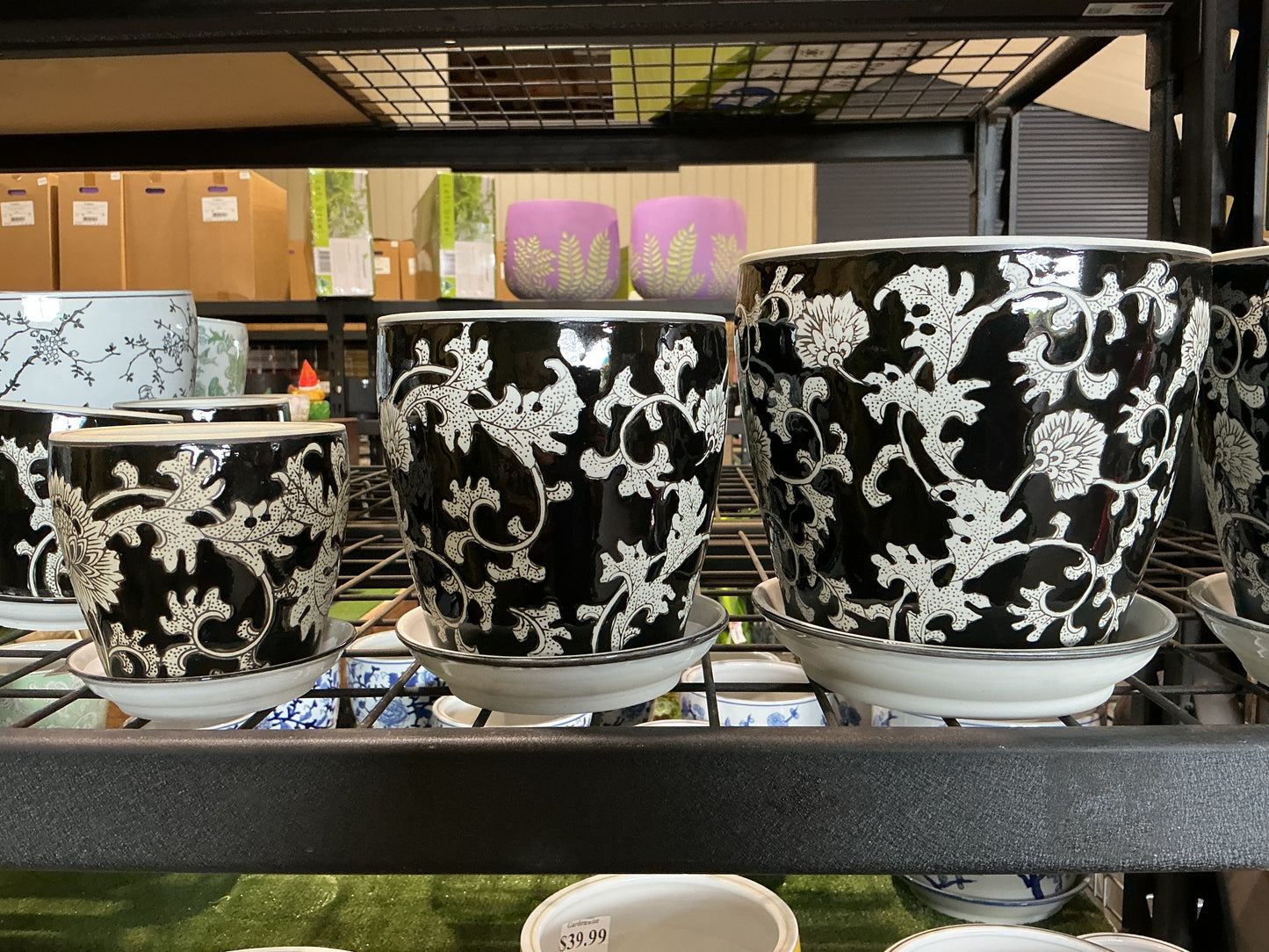 Indoor Ceramic Pots