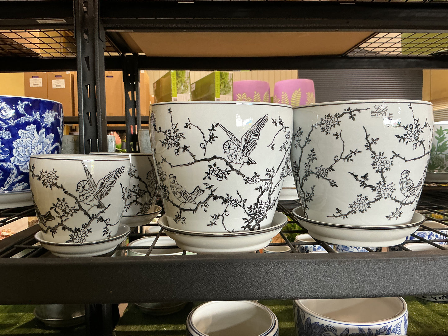 Indoor Ceramic Pots