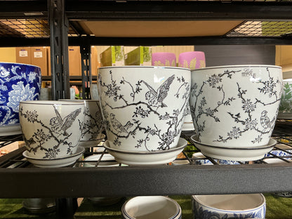 Indoor Ceramic Pots