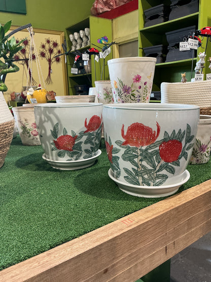 Indoor Ceramic Pots