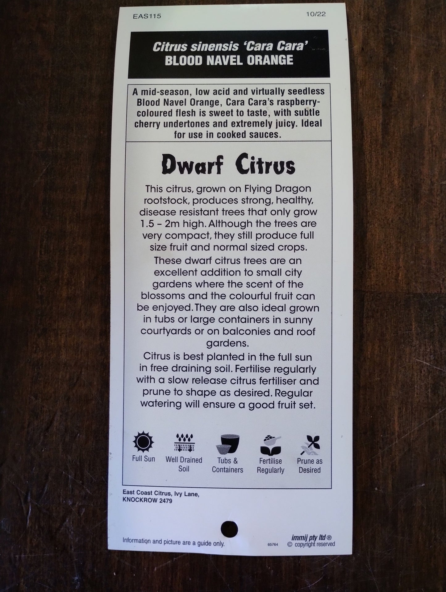 Dwarf Blood navel orange ‘Cara Cara’ image 2