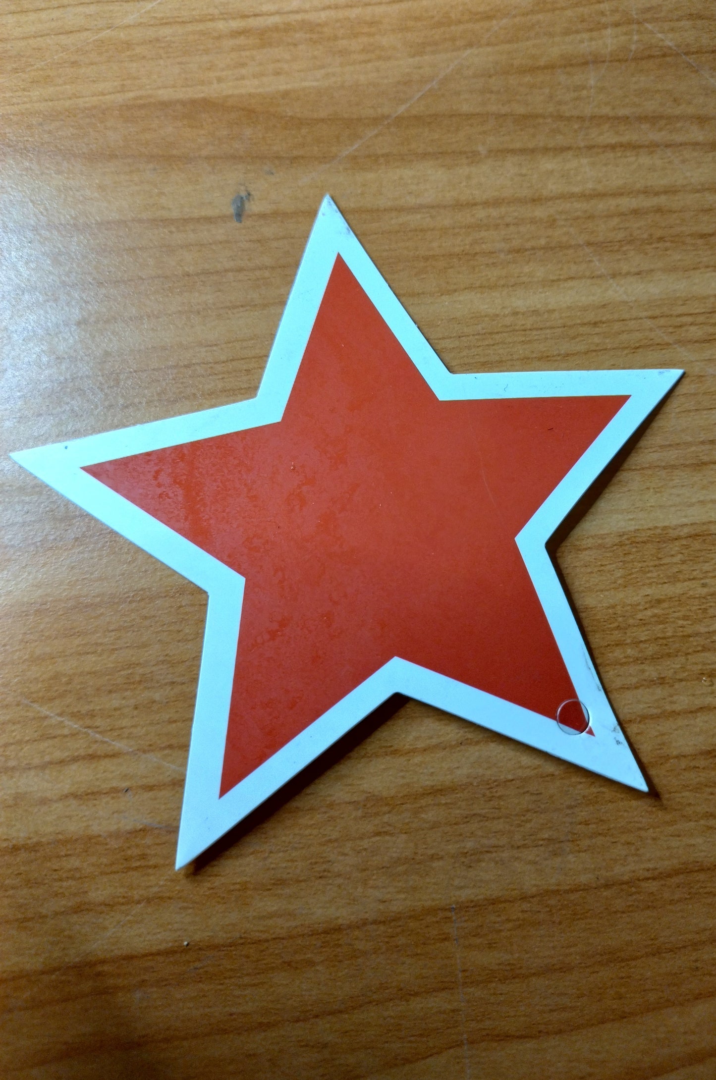 Christmas Star Picea Glauca 140mm image 1