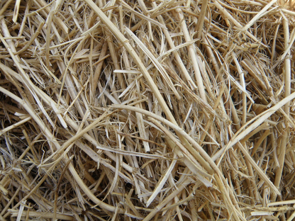 Lucerne Nutri Mulch image 1