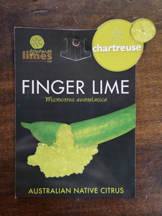 Finger Lime Charteuse 140mm image 2