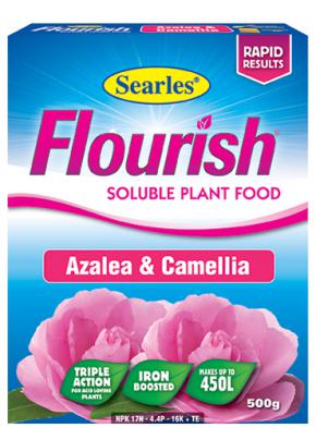 Flourish Azalea, Camellia & Gardenia image 0