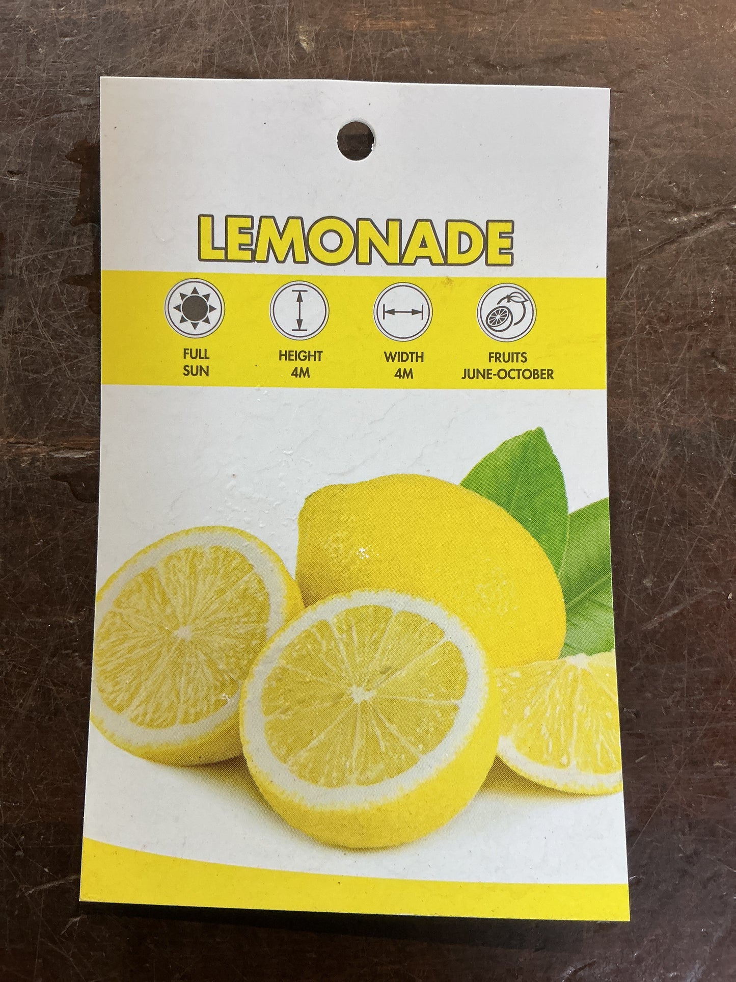 Lemonade