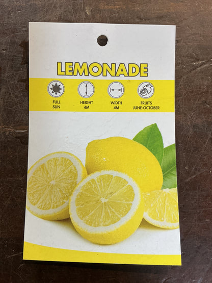 Lemonade