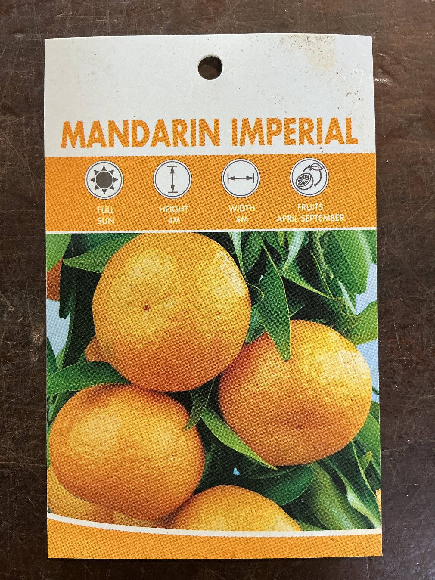 Mandarin (Imperial)