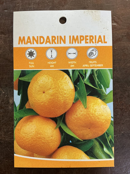 Mandarin (Imperial)