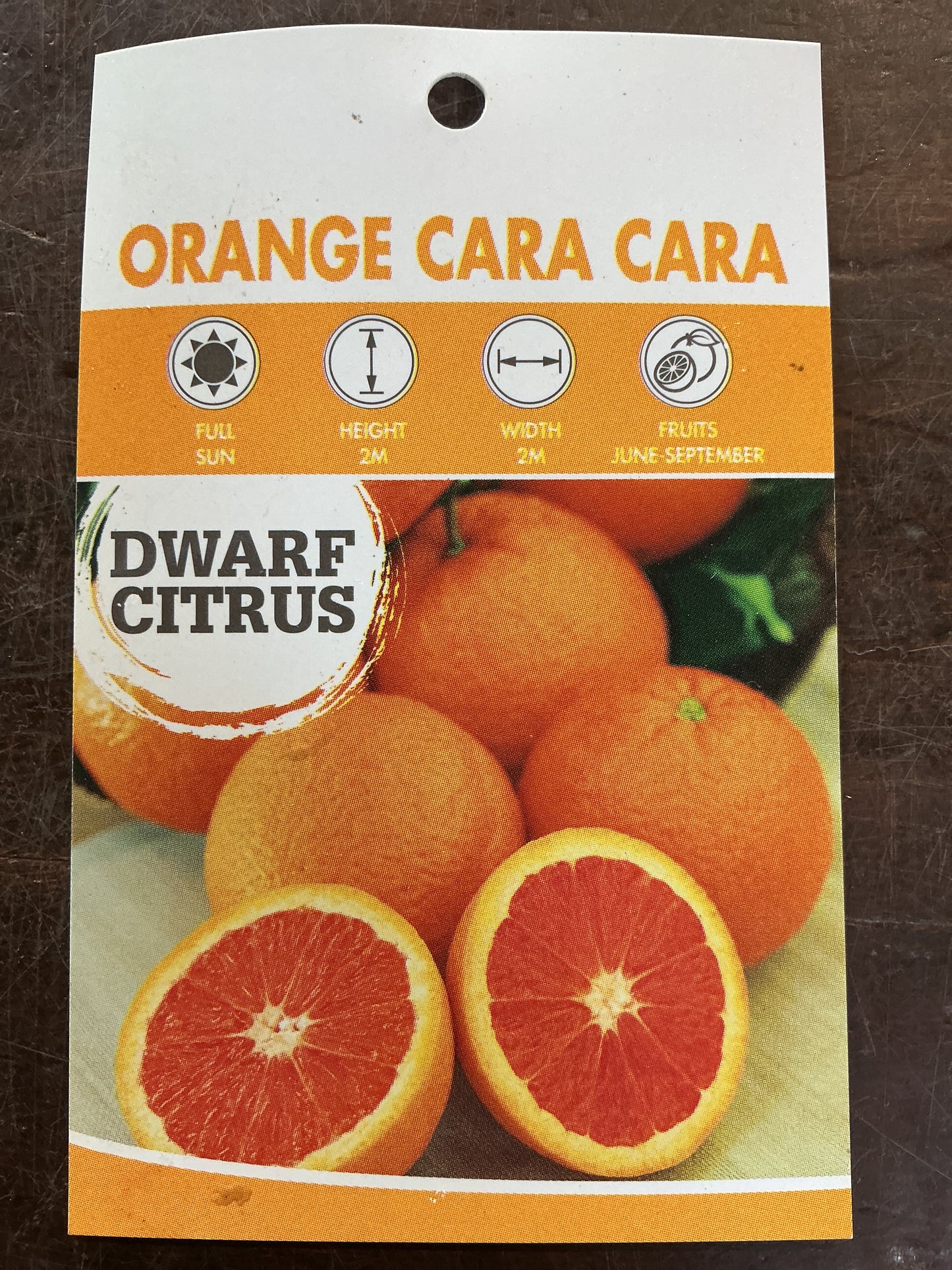 Dwarf Orange ‘Cara Cara’