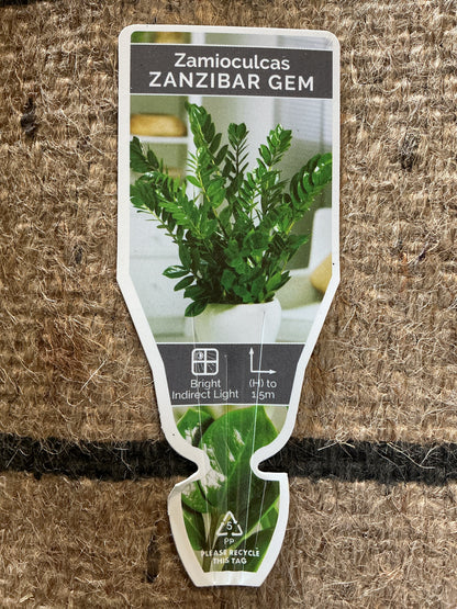 Zanzibar Gem