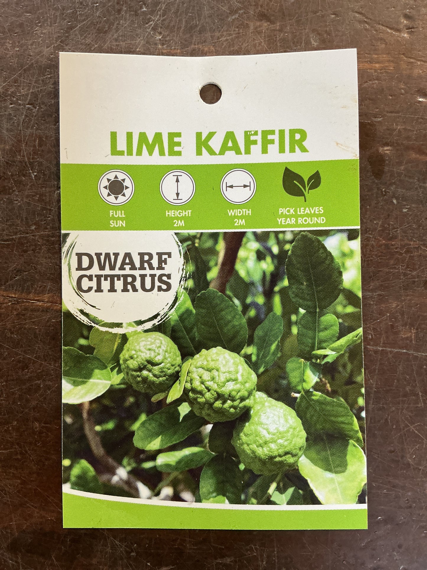 Dwarf Lime Kaffir
