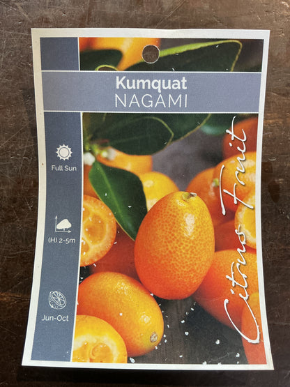 Cumquat (Nagami)