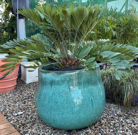 Mottled Teal Belly Pot