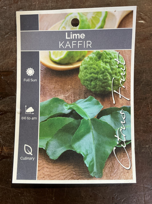Lime (Kaffir)