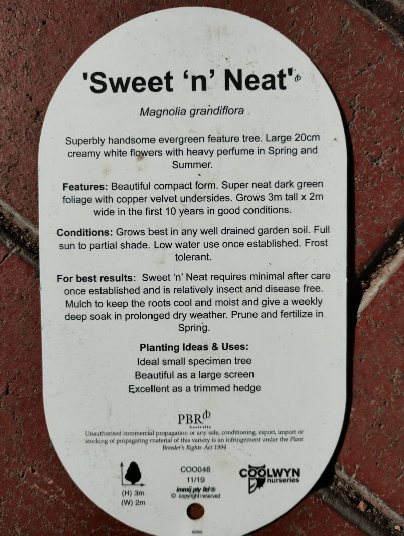 Magnolia Sweet 'n' Neat - Image 3